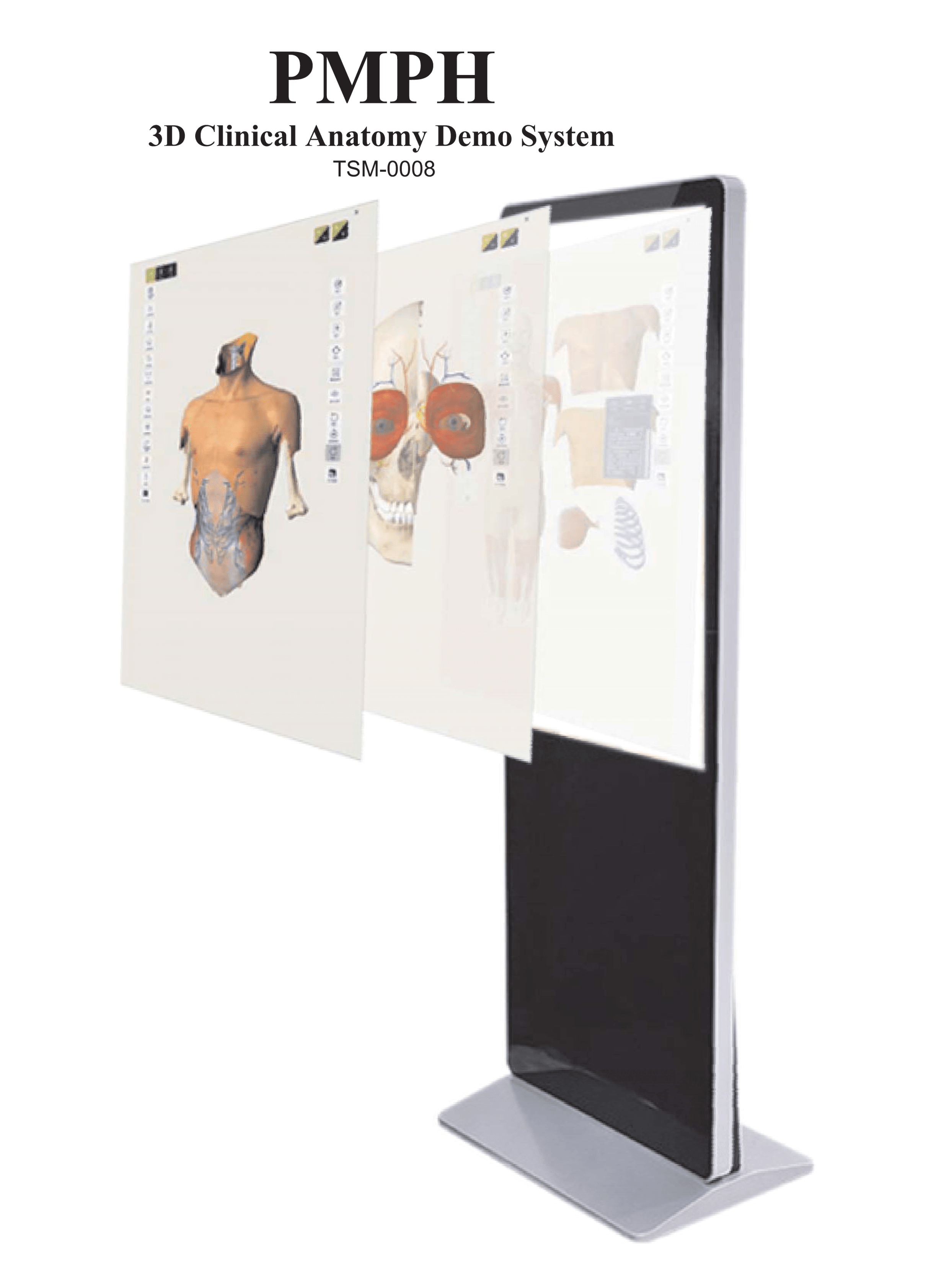 7 IMAGE PMPH 3D Clinical Anatomy Demo System - TSM-0008